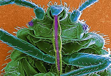 《HASTE: Broken Worlds》Steam页面上线 高速肉鸽战斗冒险